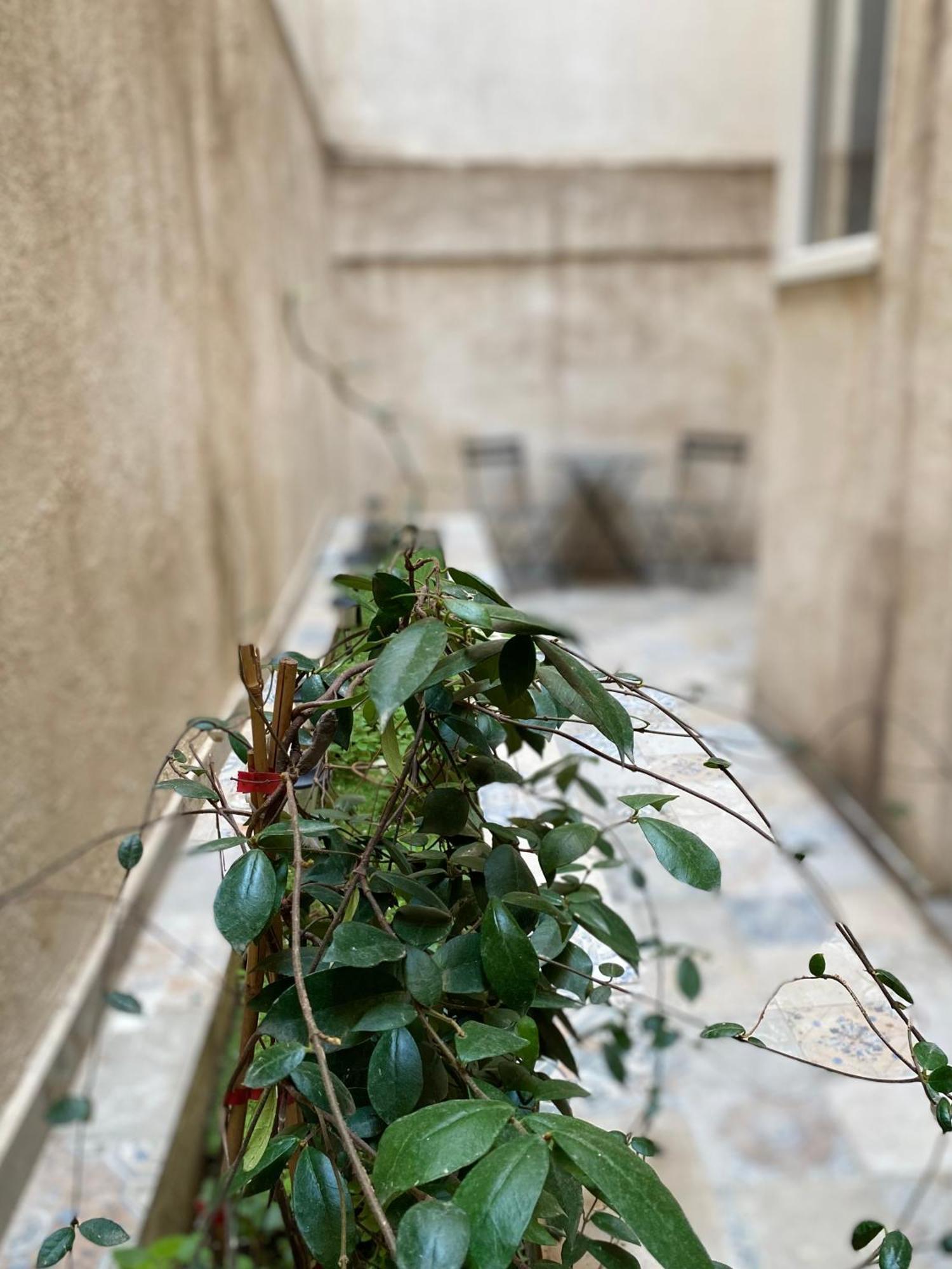 A Place 4 U Under Acropolis Apartment Athens Ngoại thất bức ảnh